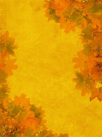 simsearch:400-05693480,k - Autumn background with the painting bright leaves Stock Photo - Budget Royalty-Free & Subscription, Code: 400-04545548