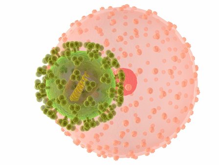 simsearch:400-03993646,k - 3d rendered close up of a hi virus attacking a cell Stock Photo - Budget Royalty-Free & Subscription, Code: 400-04545730