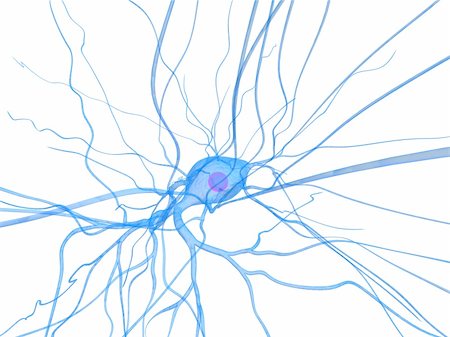 eraxion (artist) - 3d rendered close up of a neuron cell Foto de stock - Super Valor sin royalties y Suscripción, Código: 400-04545742