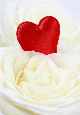 simsearch:400-04527694,k - Red heart in white rose - symbol of love Photographie de stock - Aubaine LD & Abonnement, Code: 400-04546558