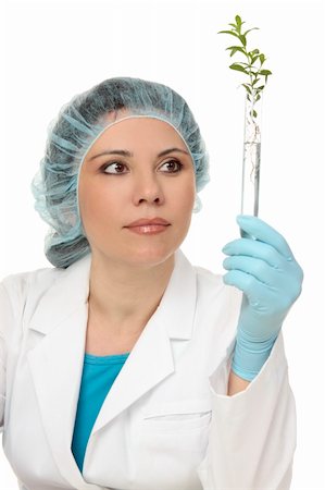 An agricultural scientist or botanist studies a plant in test tube. Foto de stock - Super Valor sin royalties y Suscripción, Código: 400-04547395