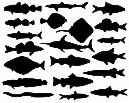 Fish silhouettes Foto de stock - Super Valor sin royalties y Suscripción, Código: 400-04548309