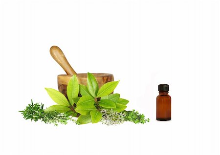 simsearch:400-04544414,k - Fresh herbs of rosemary, golden thyme, bay leaves, silver thyme and common thyme (left to right) with an olive wood pestle and mortar and a brown glass aromatherapy essential oil bottle to one side. Over white background. Stock Photo - Budget Royalty-Free & Subscription, Code: 400-04540440