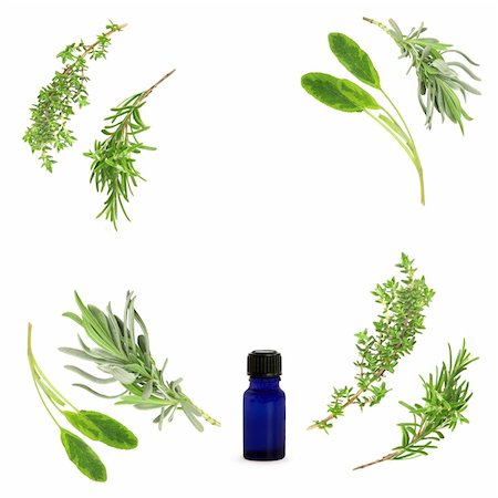 Herb leaf selection of lavender, sage, rosemary and thyme in an abstract circular design with blue essential oil glass bottle, over white background. Stock Photo - Budget Royalty-Free & Subscription, Code: 400-04541755