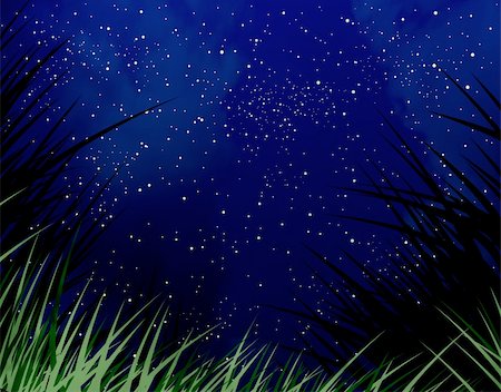 simsearch:400-04939581,k - Starry night sky with a grass fringe Photographie de stock - Aubaine LD & Abonnement, Code: 400-04541864