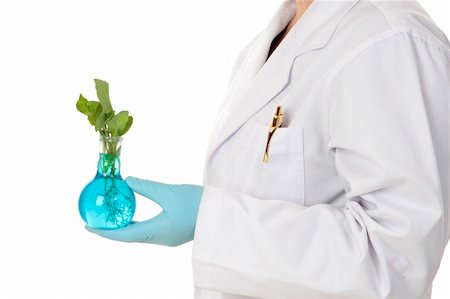 An agricultural or horticultural scientist holds a plant developed in a laboratory Foto de stock - Super Valor sin royalties y Suscripción, Código: 400-04542400