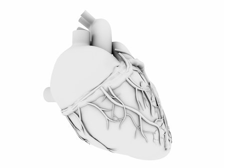 3d rendered anatomy illustration of a human heart   anatomy, artery, biology, blood, blue, body, brain, cardiology, cell, circulation, circulatory, coronary, diagram, energy, exam, flow, health, heart, human, life, medical, medicine, path, pulse, red, science, system, test, veins, vessels, x-ray Stock Photo - Budget Royalty-Free & Subscription, Code: 400-04542427