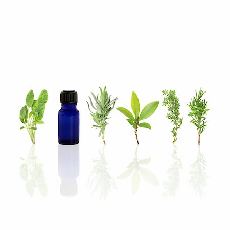 simsearch:400-04052014,k - Herb leaf selection of sage, lavender, bay, common thyme, rosemary and aromatherapy essential glass oil bottle with reflection, over white background. Stockbilder - Microstock & Abonnement, Bildnummer: 400-04542908