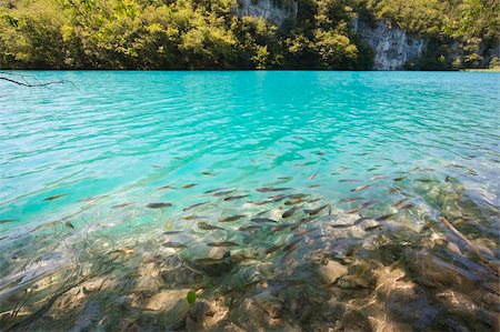 simsearch:400-09237738,k - plitvicka jezera national park - the most beautiful part of Croatia Foto de stock - Royalty-Free Super Valor e Assinatura, Número: 400-04554829