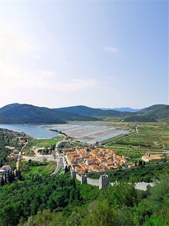 pan tree - Second longest world walls. Ston small town near Dubrovnik, Croatia landscape in wide shot from top of the hill fortress. Stock Photo - Budget Royalty-Free & Subscription, Code: 400-04556081