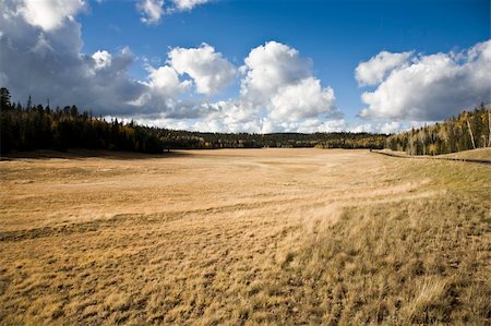 simsearch:400-04018118,k - Great Grassland and wonderful cloudscape Photographie de stock - Aubaine LD & Abonnement, Code: 400-04556391