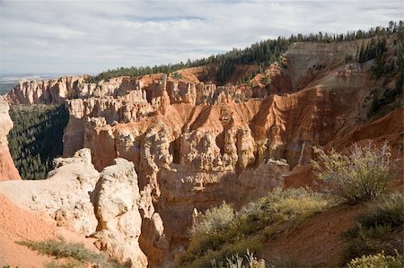 rim sand - Bryce Canyon National Park, seen  from Agua Canyon Stock Photo - Budget Royalty-Free & Subscription, Code: 400-04557279