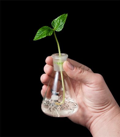 simsearch:400-06741123,k - The hand holds a flask with sprout. Isolated on black. Stock Photo - Budget Royalty-Free & Subscription, Code: 400-04557517
