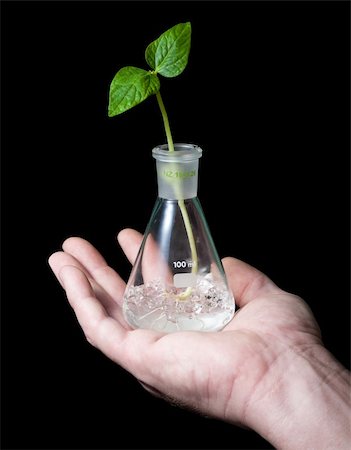 simsearch:400-06741123,k - The hand holds a flask with sprout. Isolated on black. Stock Photo - Budget Royalty-Free & Subscription, Code: 400-04557518