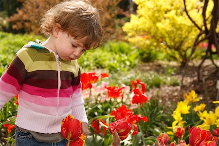 simsearch:400-06737087,k - A child in the garden with red tulips. Fotografie stock - Microstock e Abbonamento, Codice: 400-04558292