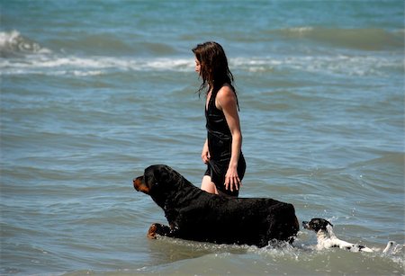 woman and her two dogs on the sea Foto de stock - Super Valor sin royalties y Suscripción, Código: 400-04558454
