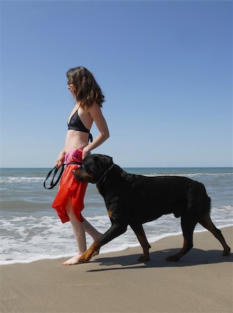 woman and big purebred rottweiler on the beach Foto de stock - Super Valor sin royalties y Suscripción, Código: 400-04558455