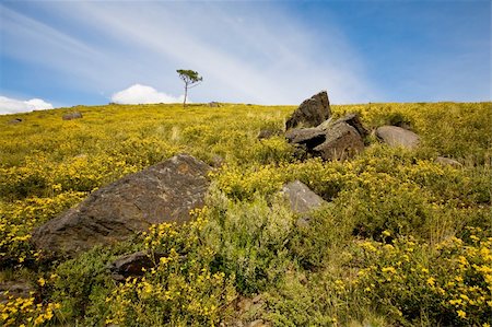 simsearch:400-06918860,k - Beautiful mountain landscape. Spring time. Stock Photo - Budget Royalty-Free & Subscription, Code: 400-04558585