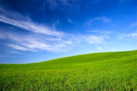 Beautiful green meadow with a bright blue sky Stock Photo - Budget Royalty-Free & Subscription, Code: 400-04558720