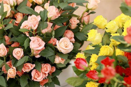 simsearch:400-04010093,k - Beauty in nature - boquet of multi colored roses Foto de stock - Super Valor sin royalties y Suscripción, Código: 400-04559228