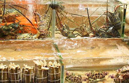 Tanks filled with various live seafood outside a sea-food restaurant. Fotografie stock - Microstock e Abbonamento, Codice: 400-04559461