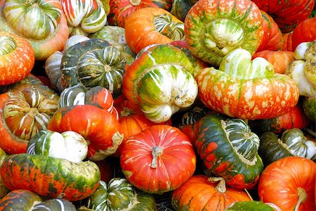 simsearch:400-07089027,k - Freshly harvested squash ready for sale at a local market Stock Photo - Budget Royalty-Free & Subscription, Code: 400-04559487