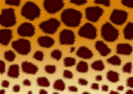 A fluffy skin of a leopard Stock Photo - Budget Royalty-Free & Subscription, Code: 400-04559503