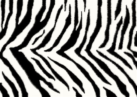 Texture - a fluffy skin of a zebra Foto de stock - Super Valor sin royalties y Suscripción, Código: 400-04559514