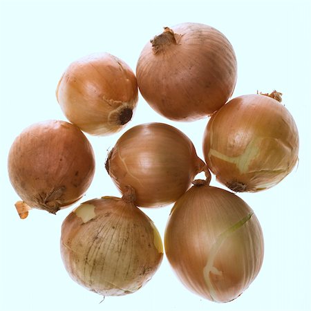 Yellow onions isolated on a white background. Stockbilder - Microstock & Abonnement, Bildnummer: 400-04559684