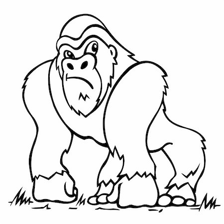 Gorilla. Vector illustration Stock Photo - Budget Royalty-Free & Subscription, Code: 400-04550463