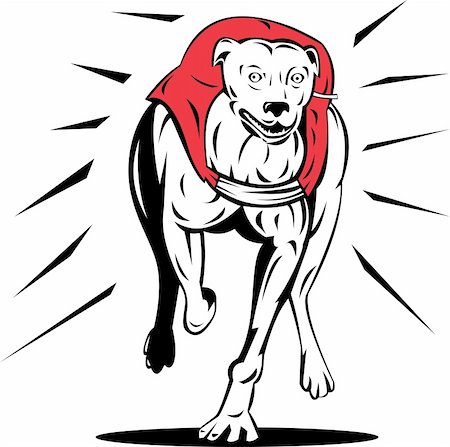 Vector art on the sport of greyhound racing Photographie de stock - Aubaine LD & Abonnement, Code: 400-04550798