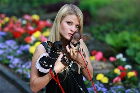 simsearch:400-06758392,k - Beautiful blond girl with two fancy  little dogs Photographie de stock - Aubaine LD & Abonnement, Code: 400-04552714
