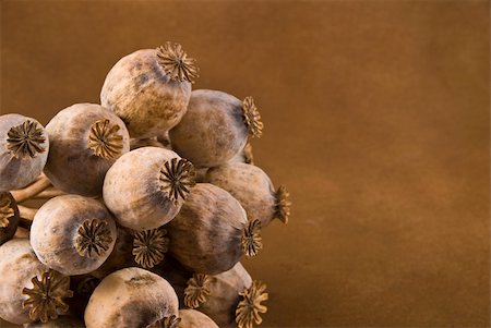 poppies pods - Poppy heads detail - pods with poppy grain isolated on brown Stock Photo - Budget Royalty-Free & Subscription, Code: 400-04552997