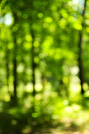 Green natural background of out of focus forest or bokeh Stock Photo - Budget Royalty-Free & Subscription, Code: 400-04553242