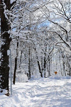 Winter street with lots of snow in Toronto Stock Photo - Budget Royalty-Free & Subscription, Code: 400-04553318