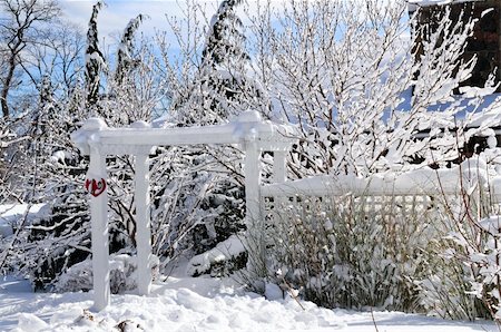 simsearch:400-03987371,k - Front yard of a house covered with snow in winter Toronto Foto de stock - Super Valor sin royalties y Suscripción, Código: 400-04553322
