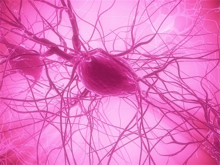 simsearch:400-03961909,k - 3d rendered close up of an isolated nerve cell Foto de stock - Royalty-Free Super Valor e Assinatura, Número: 400-04553851