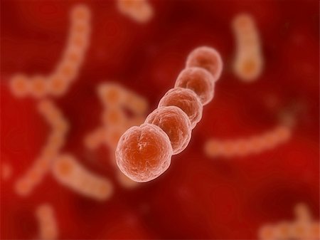 streptococcus - 3d rendered close up of some isolated streptoccus bacteria Stock Photo - Budget Royalty-Free & Subscription, Code: 400-04553868