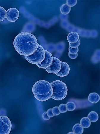 streptococcus - 3d rendered close up of some isolated streptoccus bacteria Stock Photo - Budget Royalty-Free & Subscription, Code: 400-04553869