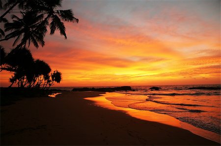 simsearch:400-07093200,k - Tropical island  palm beach at sunset time Fotografie stock - Microstock e Abbonamento, Codice: 400-04553980