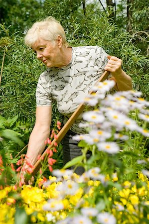 simsearch:400-04326057,k - The elderly woman works in a garden among flowers in a summer sunny day Foto de stock - Super Valor sin royalties y Suscripción, Código: 400-04564074