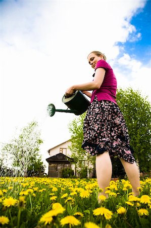 pouring rain on people - Rain Season. Young Woman With Can in the garden. Stock Photo - Budget Royalty-Free & Subscription, Code: 400-04564368