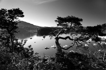 Shot above Portree Harbour in the Isle of Skye. Foto de stock - Super Valor sin royalties y Suscripción, Código: 400-04564381