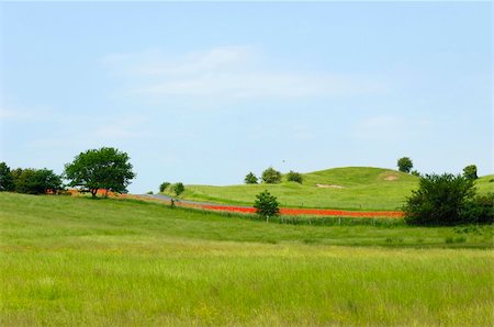 simsearch:400-07245923,k - Landscape with green fields and trees Stock Photo - Budget Royalty-Free & Subscription, Code: 400-04564606