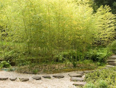 A traditional Japanese garden in California. Stock Photo - Budget Royalty-Free & Subscription, Code: 400-04564733