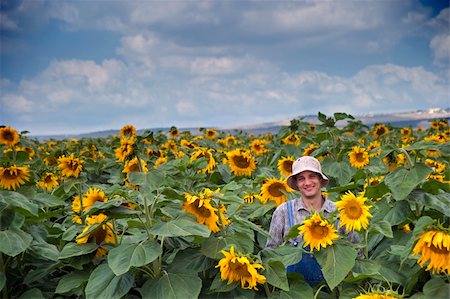 sunflower spain - farmer standing in  a sunflower field Stock Photo - Budget Royalty-Free & Subscription, Code: 400-04565184