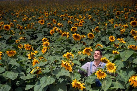 sunflower spain - farmer standing in front of a sunflower field Stock Photo - Budget Royalty-Free & Subscription, Code: 400-04565185