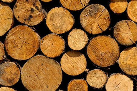 Woodstack background of big stacked logs Stock Photo - Budget Royalty-Free & Subscription, Code: 400-04565530