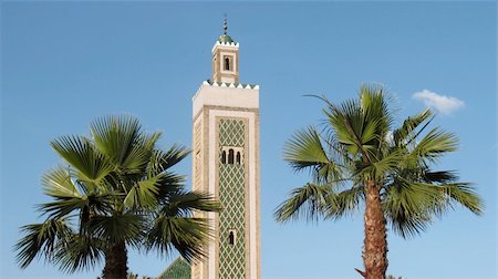 fez mosque - A Muslim Mosque with palm trees and clouds. Stock Photo - Budget Royalty-Free & Subscription, Code: 400-04565609