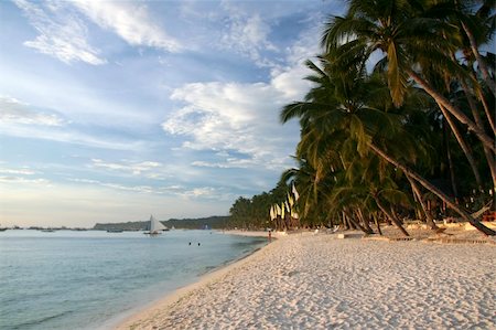 palms trees and white sand of boracay island in the philippines Stock Photo - Budget Royalty-Free & Subscription, Code: 400-04565703